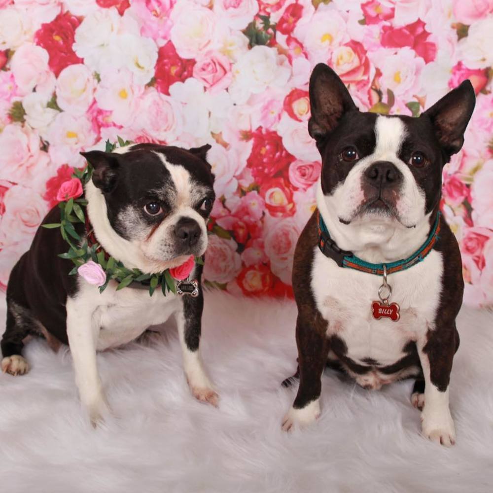 Meet your Posher, Deja